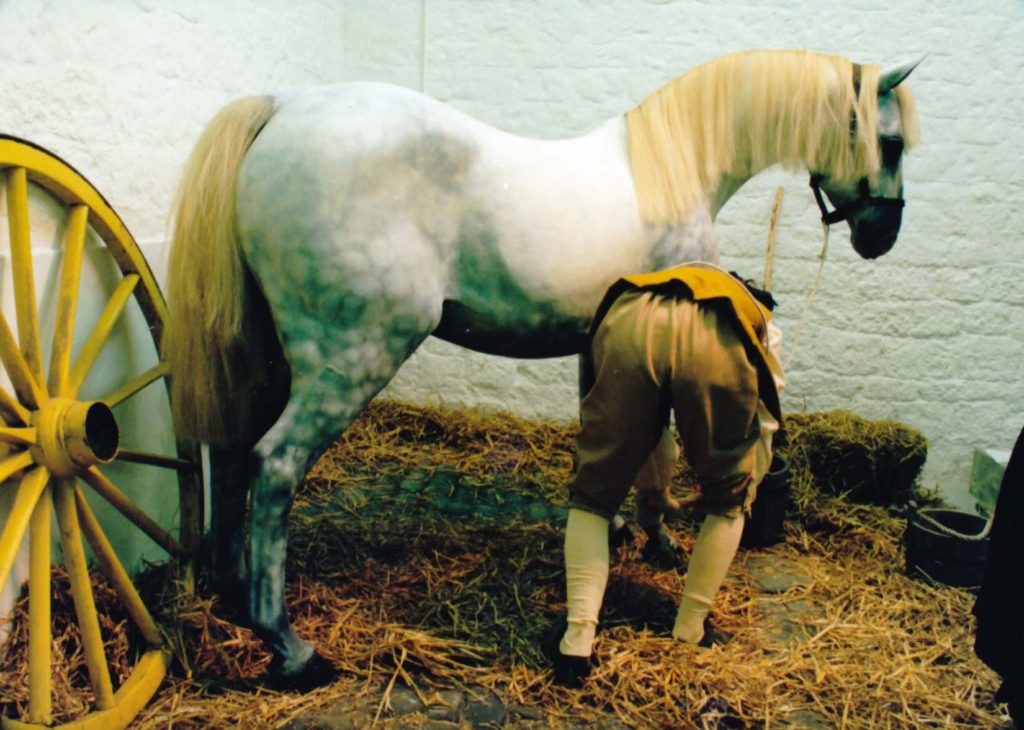 Horse and groom