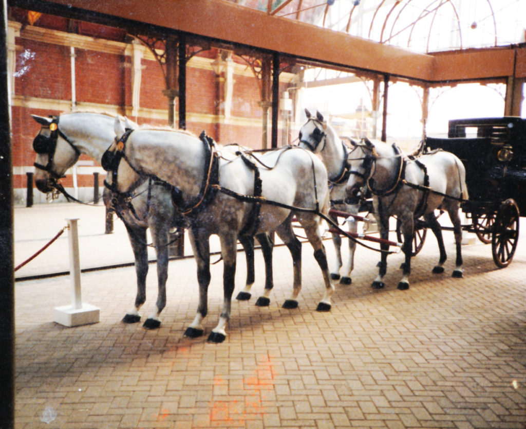 Replica horses